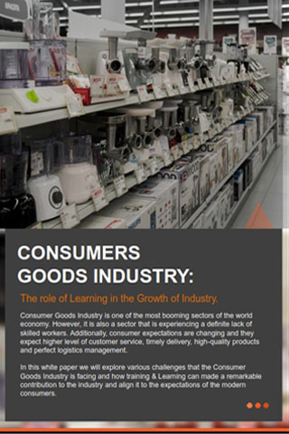 Whitepaper Consumer Goods