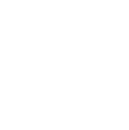 Expert Team